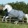 Smartex Turnout Regendecke