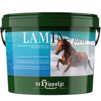 LAMIN