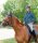 Reitjacke Hannah
