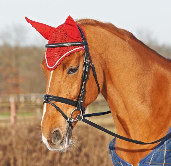 Ohrenhaube SILBERKORDEL