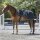 Tyrex Nierendecke 1200 D
