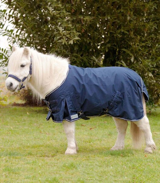 Shetty Regendecke