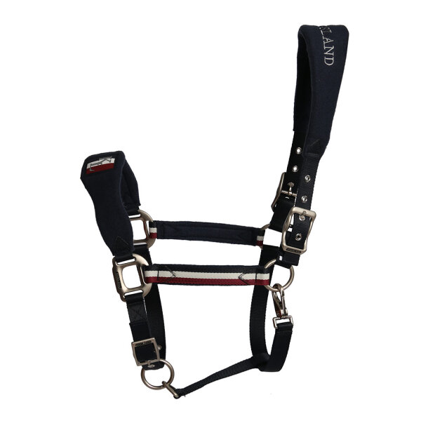 Kingsland Classic Halfter