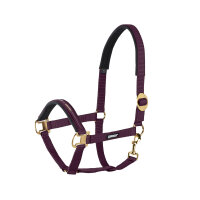 Halfter Sliding Buckle