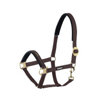 Halfter Sliding Buckle