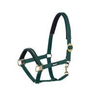 Halfter Sliding Buckle