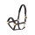 Halfter Sliding Buckle