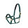 Halfter Sliding Buckle