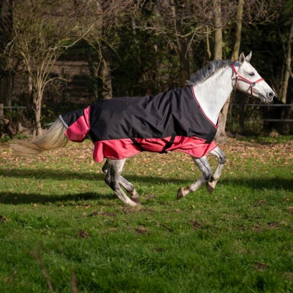 EQUI-THEME Tyrex 1200 D Decke