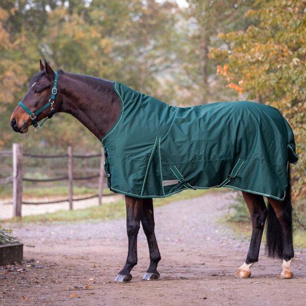 Highneckdecke Economic