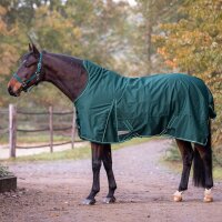 Highneckdecke Economic