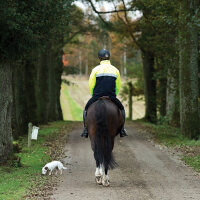 HORSEWARE-Corrib Neonjacke