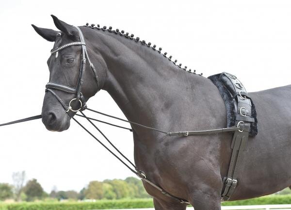 Dreieckszügel BASIC-KORDEL