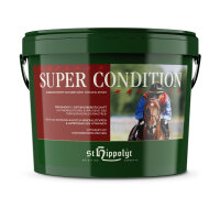 St. Hippolyt Super Condition