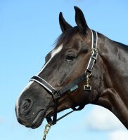 Stallhalfter Dublin