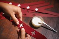 Verstellbare Führleine Swiss