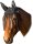 Fliegenhaube mit Ohrenschutz