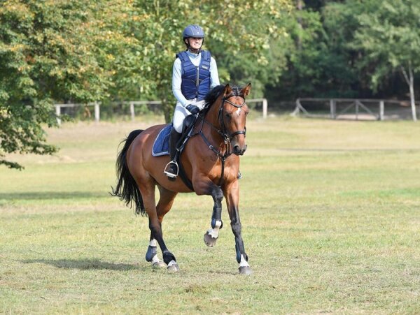 Sicherheitsweste BURGHLEY