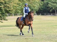Sicherheitsweste BURGHLEY