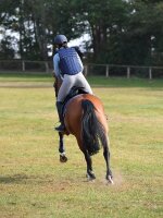 Sicherheitsweste BURGHLEY