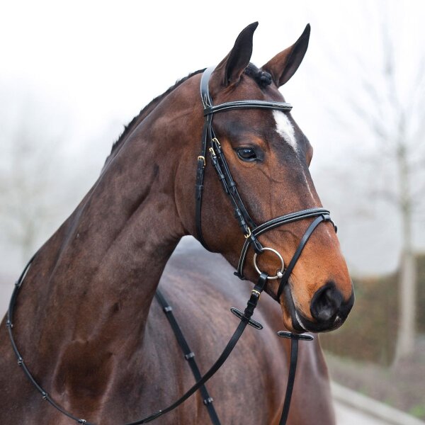 Horze Constance Trensenzaum