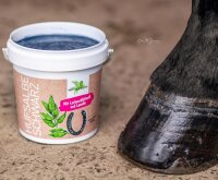 Bense & Eicke Hufsalbe