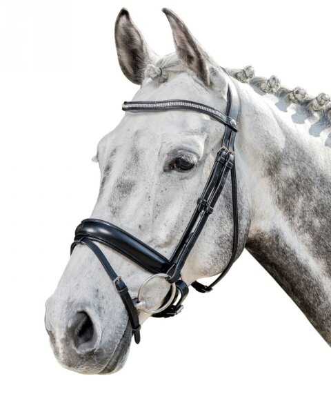 Prestige Zaum Dressur E134