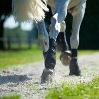 Back on Track Arbeitsgamaschen - vorn