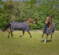 EQUI-THEME Tyrex 1200 D Decke