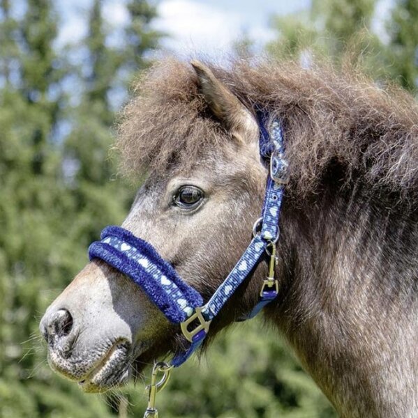 Ponyhalfter Heart