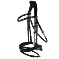 Anatomische Trense Stanford S