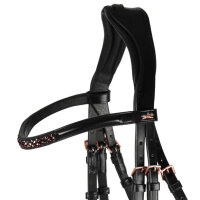 Anatomische Trense Stanford S