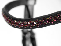 Anatomische Trense Stanford S