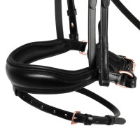 Anatomische Trense Stanford S
