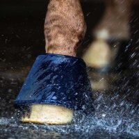 Water-Boot Hufglocke