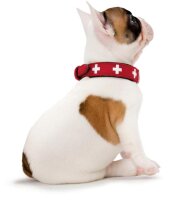 Halsband Swiss