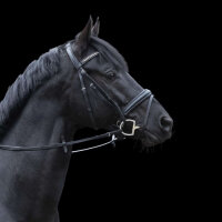 Dynamic RS Oliven-Gebiss