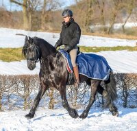Freedom Riding Rug