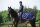 Freedom Riding Rug