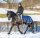 Freedom Riding Rug