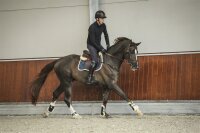 Veredus Carbon-Gel Vento STS