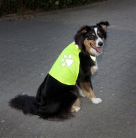 Hundesicherheitsweste