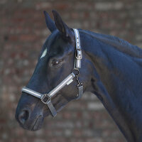 Halfter Reflex Stripe
