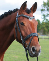 Trense Badminton