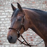 Gebissloser Zaum LTJ Lindel