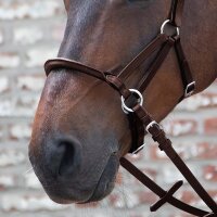 Gebissloser Zaum LTJ Lindel