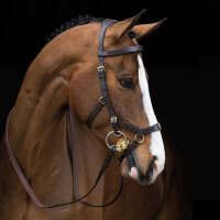 Rambo Micklem MultiBridle