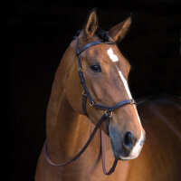 Rambo Micklem MultiBridle