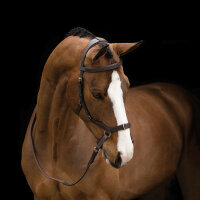 Rambo Micklem MultiBridle