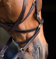 Rambo Micklem MultiBridle